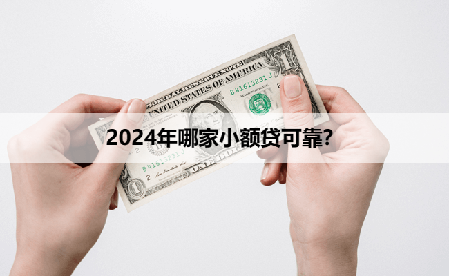 2024年哪家小额贷可靠?