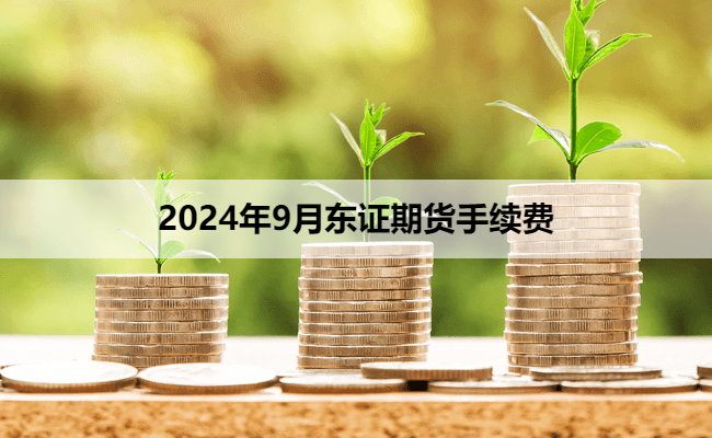 2024年9月东证期货手续费