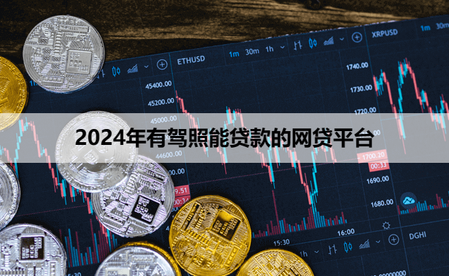 2024年有驾照能贷款的网贷平台