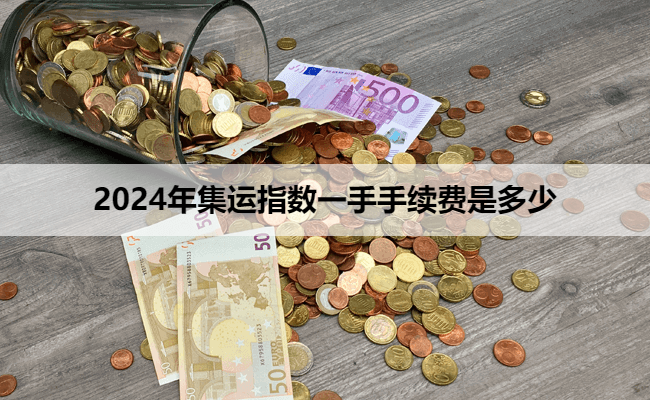 2024年集运指数一手手续费是多少