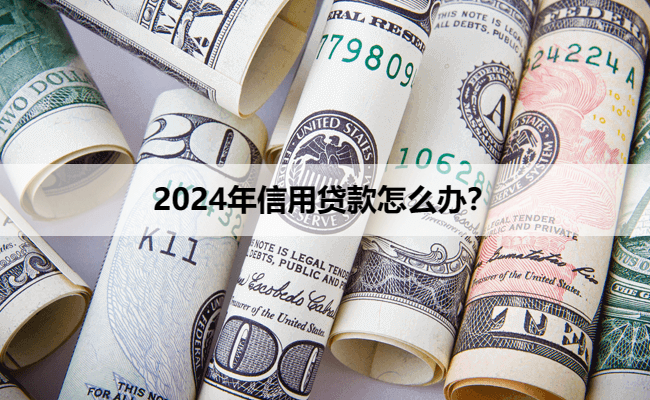 2024年信用贷款怎么办？