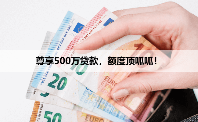 尊享500万贷款，额度顶呱呱！