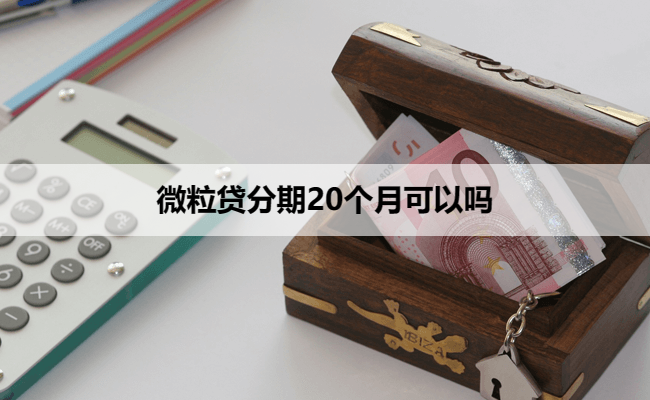 微粒贷分期20个月可以吗