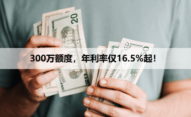 300万额度，年利率仅16.5%起！