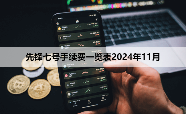 先锋七号手续费一览表2024年11月