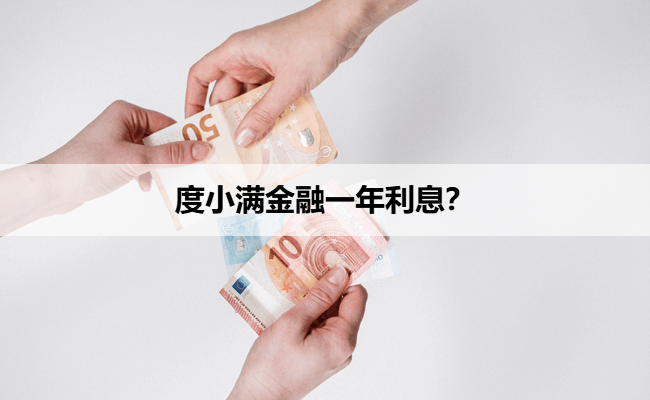 度小满金融一年利息？