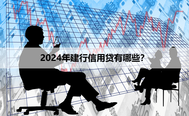 2024年建行信用贷有哪些？