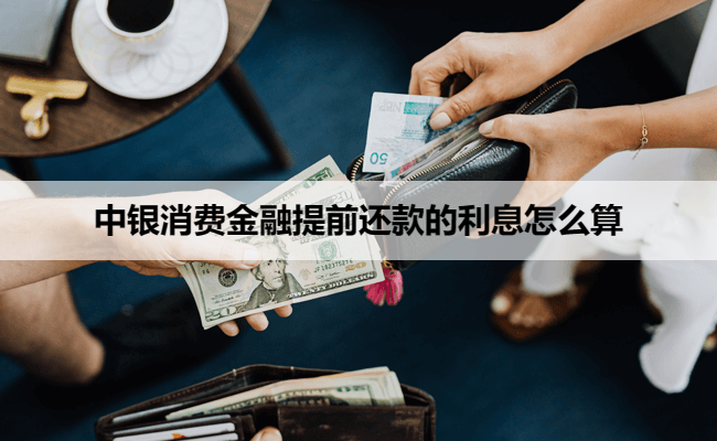 中银消费金融提前还款的利息怎么算