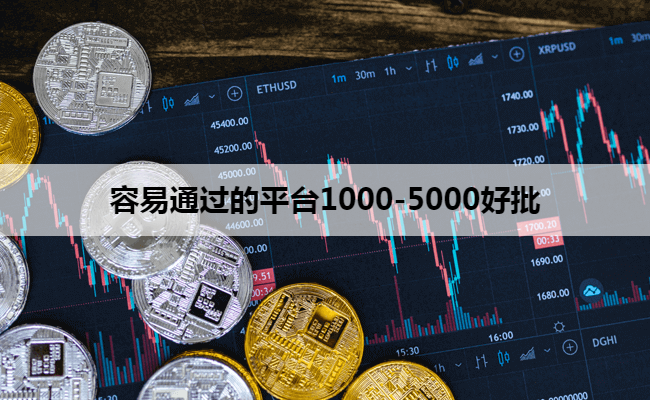 容易通过的平台1000-5000好批