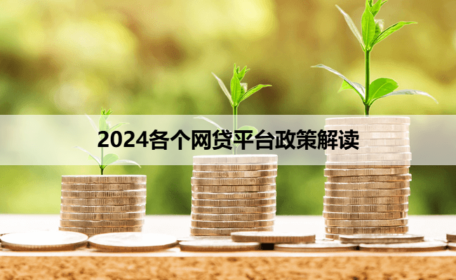 2024各个网贷平台政策解读