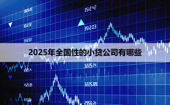 2025年全国性的小贷公司有哪些
