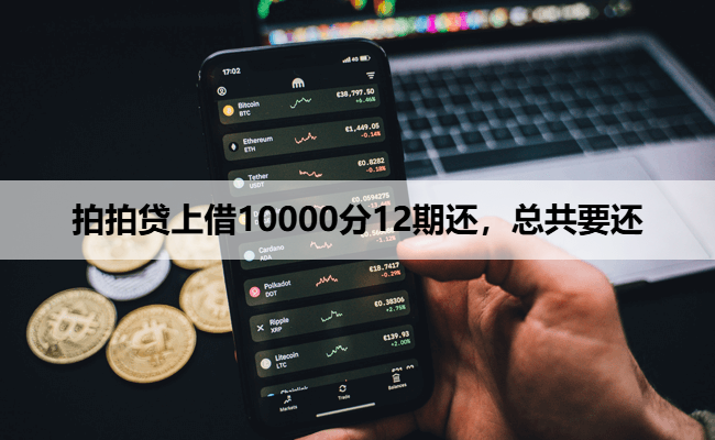 拍拍贷上借10000分12期还，总共要还