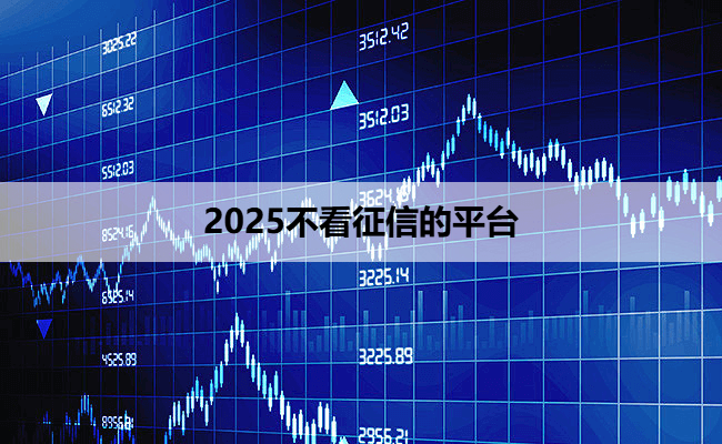 2025不看征信的平台