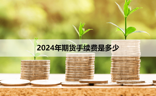 2024年期货手续费是多少