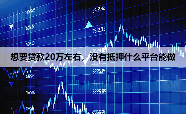 想要贷款20万左右，没有抵押什么平台能做