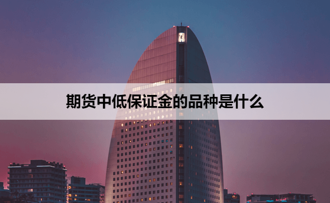 期货中低保证金的品种是什么