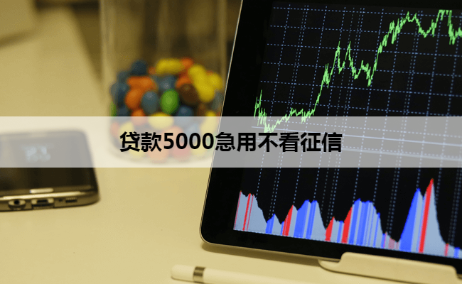 贷款5000急用不看征信