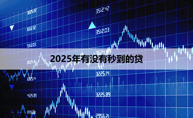 2025年有没有秒到的贷