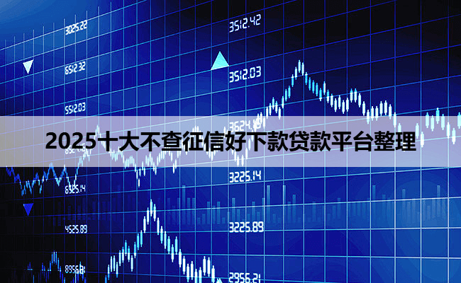 2025十大不查征信好下款贷款平台整理