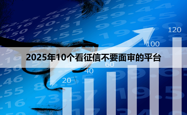 2025年10个看征信不要面审的平台