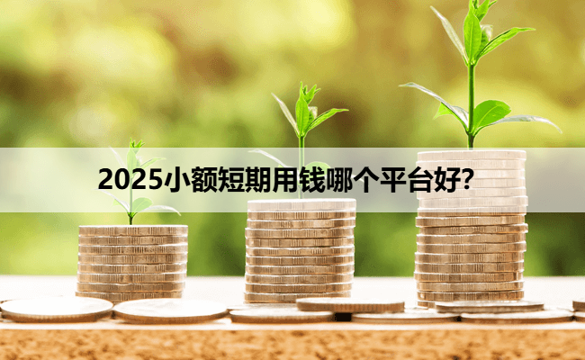 2025小额短期用钱哪个平台好？