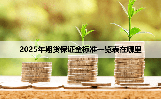 2025年期货保证金标准一览表在哪里