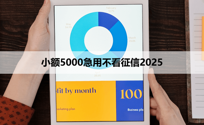 小额5000急用不看征信2025