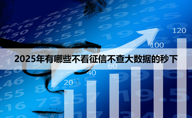 2025年有哪些不看征信不查大数据的秒下