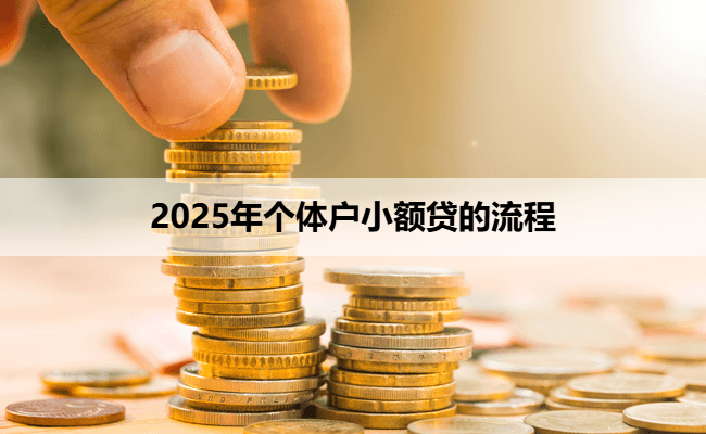 2025年个体户小额贷的流程