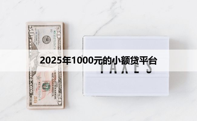 2025年1000元的小额贷平台