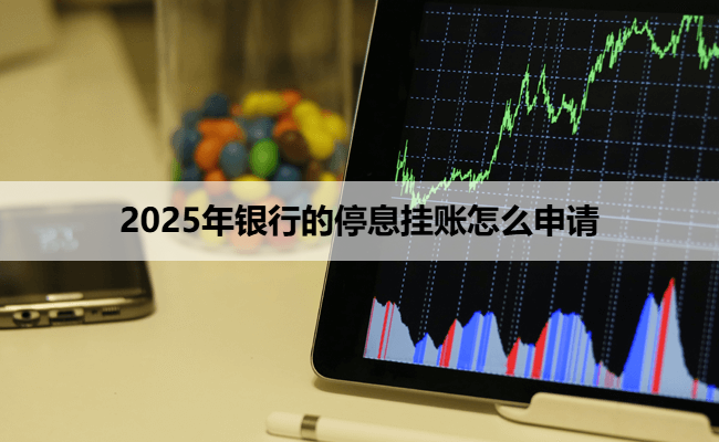 2025年银行的停息挂账怎么申请