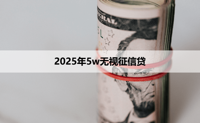 2025年5w无视征信贷