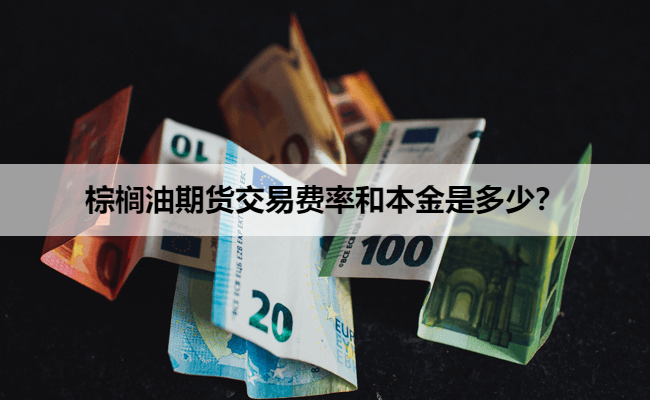 棕榈油期货交易费率和本金是多少？