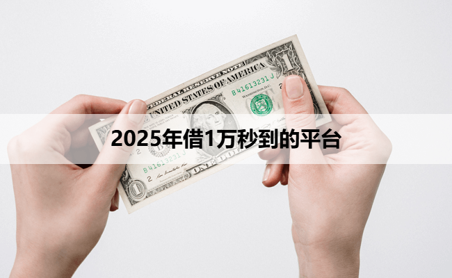 2025年借1万秒到的平台