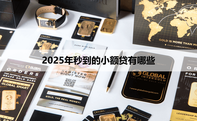 2025年秒到的小额贷有哪些