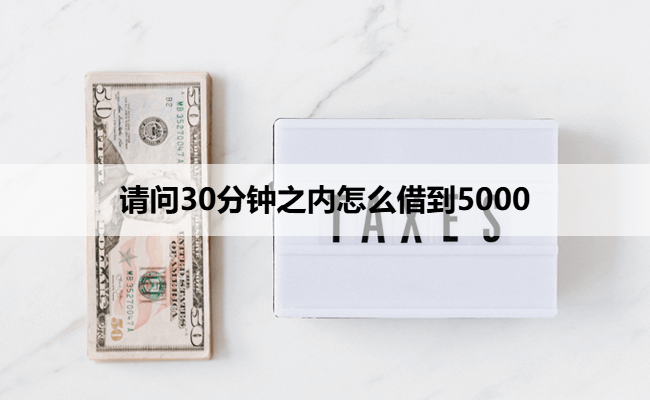 请问30分钟之内怎么借到5000