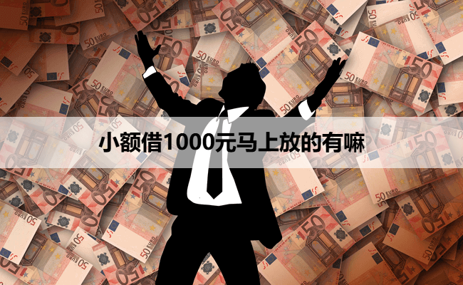 小额借1000元马上放的有嘛