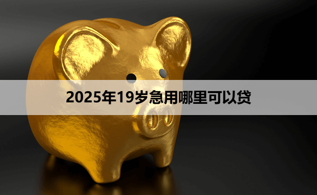 2025年19岁急用哪里可以贷