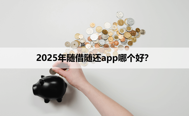 2025年随借随还app哪个好？