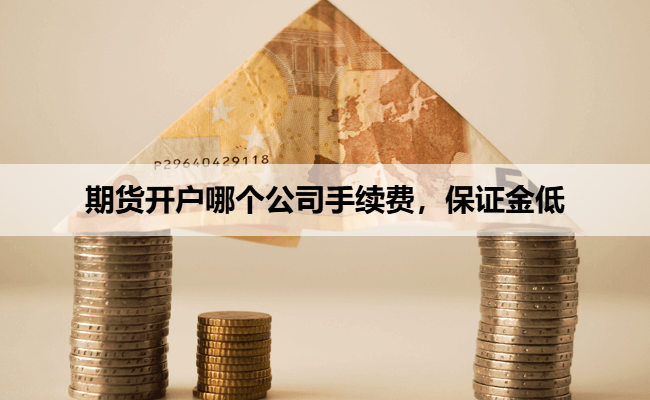 期货开户哪个公司手续费，保证金低