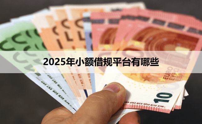 2025年小额借规平台有哪些