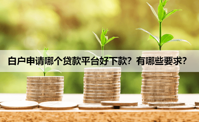白户申请哪个贷款平台好下款？有哪些要求？