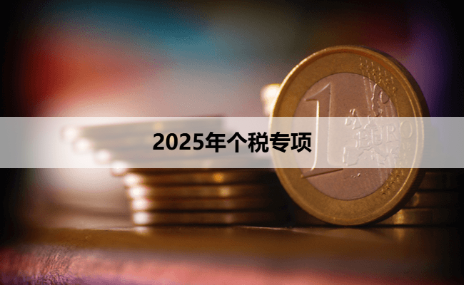 2025年个税专项