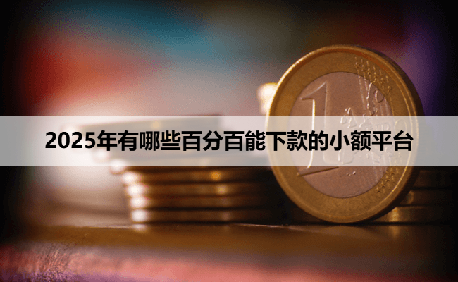 2025年有哪些百分百能下款的小额平台