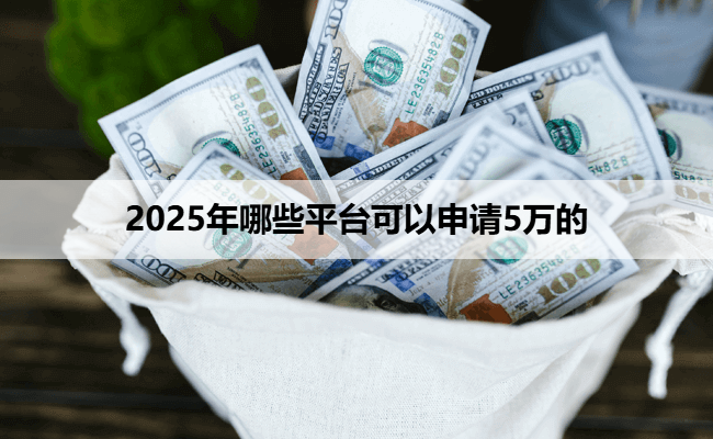 2025年哪些平台可以申请5万的