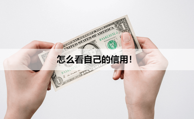 怎么看自己的信用！