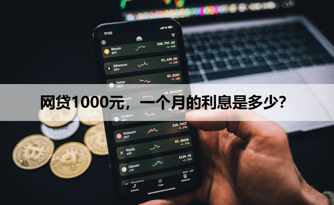 网贷1000元，一个月的利息是多少？