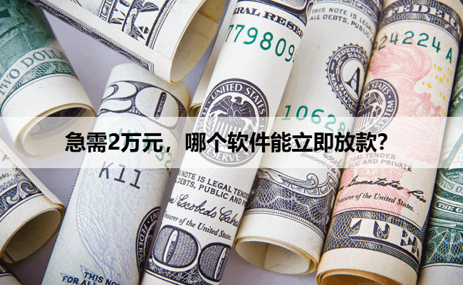 急需2万元，哪个软件能立即放款？