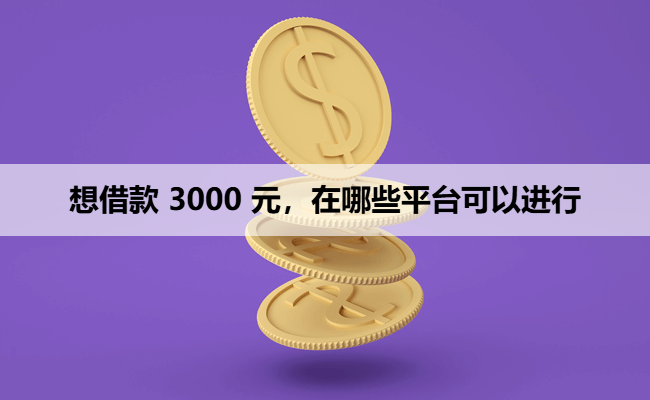 想借款 3000 元，在哪些平台可以进行