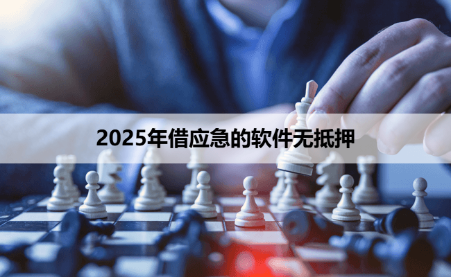2025年借应急的软件无抵押